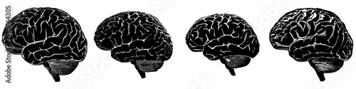 This image depicts a human brain in black silhouette, showcasing its intricate contours and folds, commonly referred to as a brain outline or brain clipart, in a modern clipart illustration design