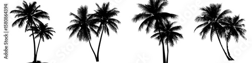 This image depicts a modern black illustration of two palm trees with lush fronds, embodying tropical nature and elegance in the form of a double palm tree silhouette