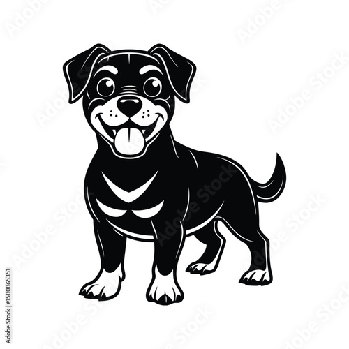 Happy black dog with white markings and tongue out playful