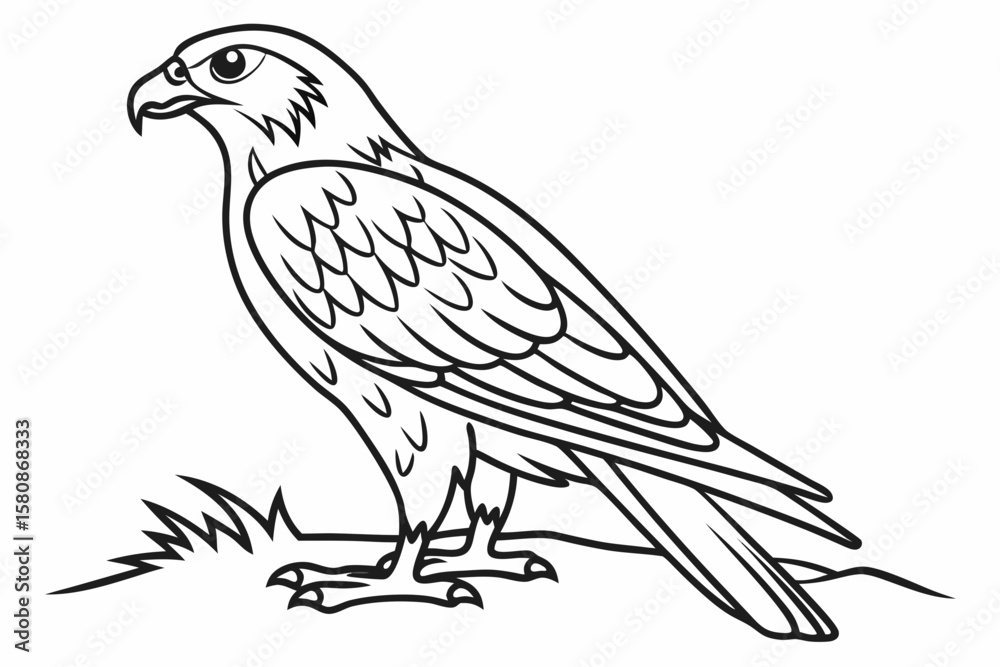 Obraz premium coloring page line art the falcon black vector