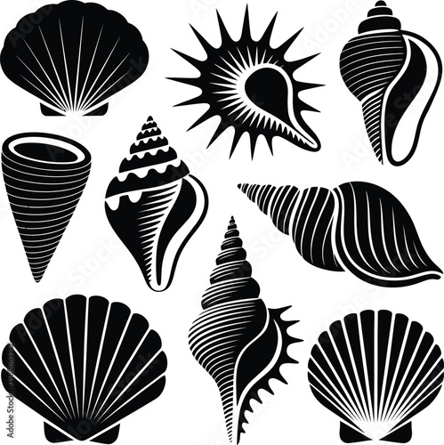 Collection of Silhouette Decorative Sea Shell Icons Vector