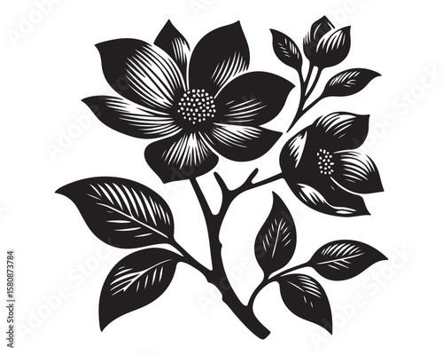 Dogwood 13.eps