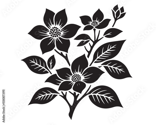 Dogwood 14.eps