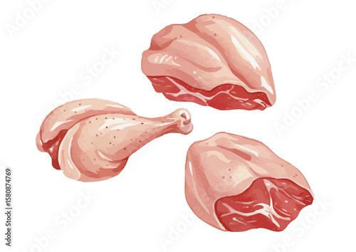 Vector watercolor meat_chicken / 水彩テイストの鶏肉イラスト