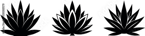 Three agave plants in black silhouette, botanical vector illustration