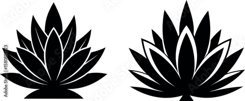 Two agave plants are shown in a black and white vector illustration