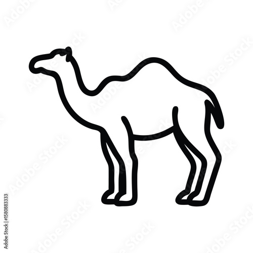 A minimal line shows a sturdy camel walking across the frame on transparent background
