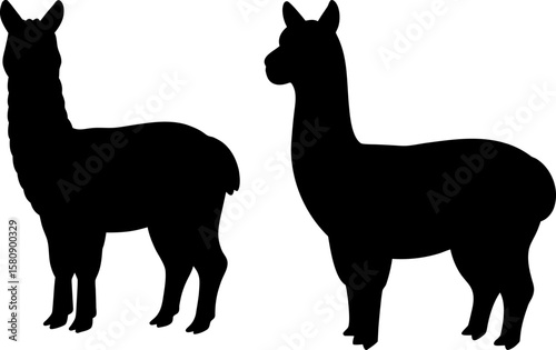 Llama vector, Vector of Llama, A set of Llama animal art designs, Llama icons isolated