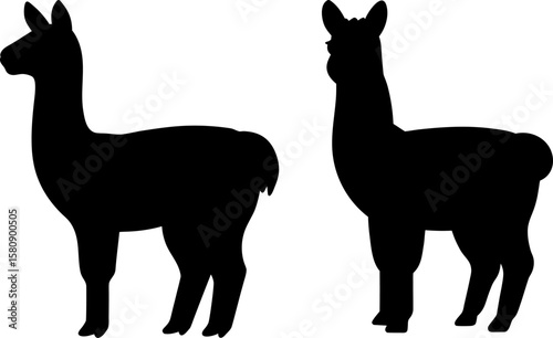 Llama vector, Vector of Llama, A set of Llama animal art designs, Llama icons isolated