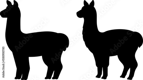 Llama vector, Vector of Llama, A set of Llama animal art designs, Llama icons isolated