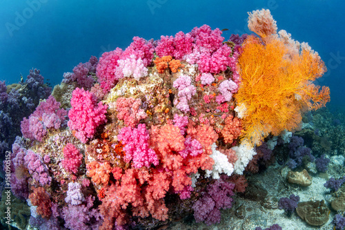 Foto Colorful underwater landscape around Talang Pinnacle or Stonehenge, the most popular dive site for scuba diving in the area of Lipe island, Tarutao National Park in Satun Province, Thailand