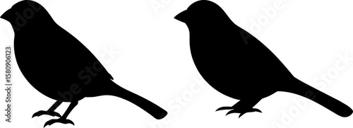 Two bird vector, Vector of Two bird, A set of Two bird animal art designs, Two bird icon isolated