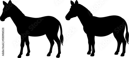 Horse vector, Vector of Horse, A set of Horse animal art designs, Horse icon isolated