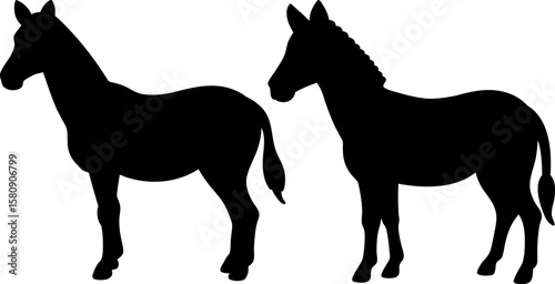 Horse vector, Vector of Horse, A set of Horse animal art designs, Horse icon isolated
