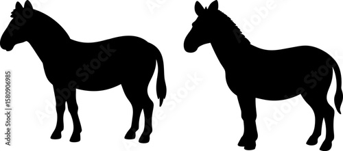 Horse vector, Vector of Horse, A set of Horse animal art designs, Horse icon isolated