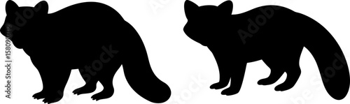 Raccoon vector, Vector of Raccoon, A set of Raccoon animal art designs, Raccoon icon isolated