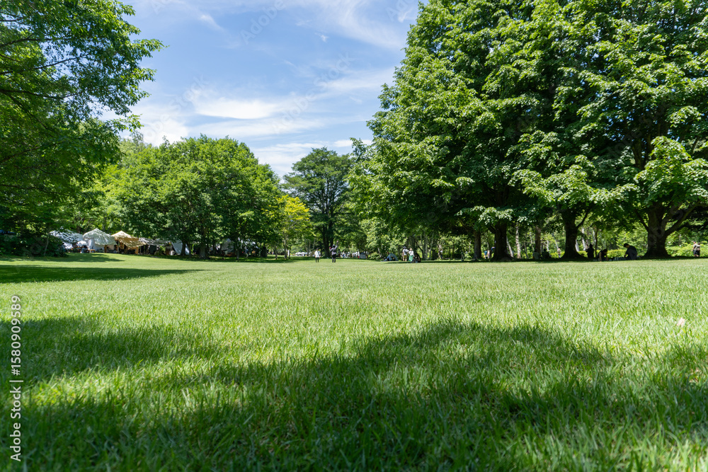 Fototapeta premium 八ヶ岳 公園 Yatsugatake