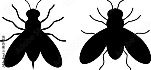 Termite vector, Vector of Termite, A set of Termite animal art designs, Termite icon isolated