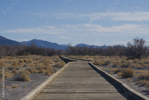 Desert Boardwalk with Mountain View

