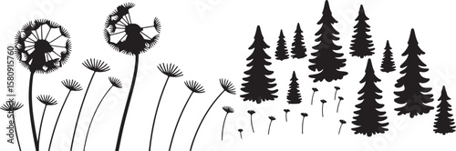 Diverse nature silhouettes: Dandelions and evergreens