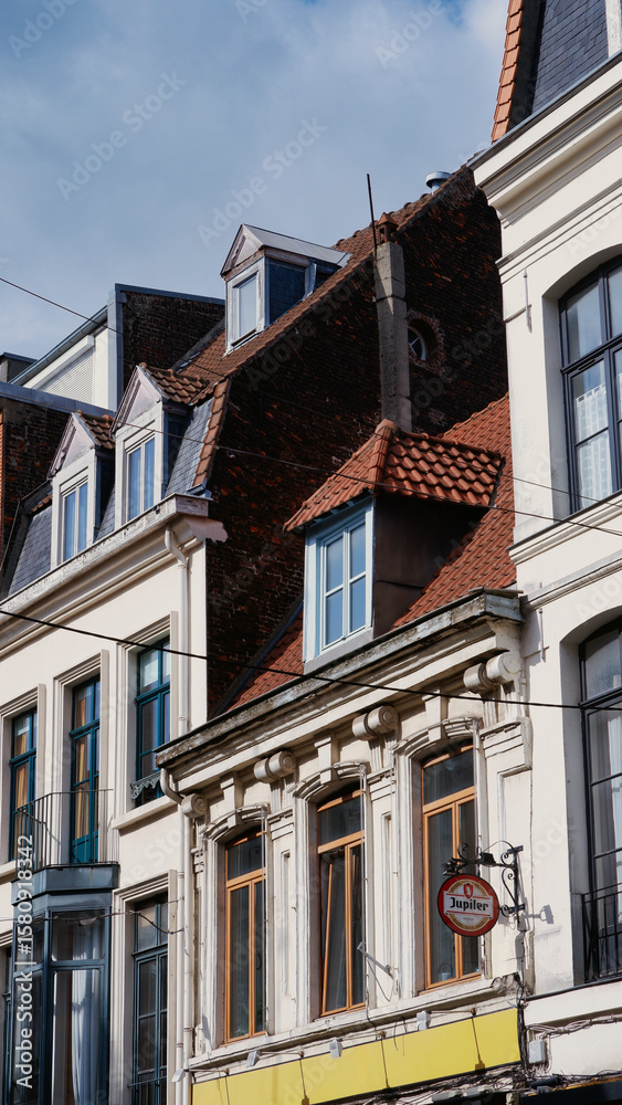 Fototapeta premium Historical Buildings in the city of Lille in France