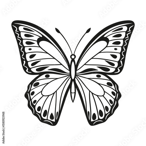 Black butterfly wings symmetrical pattern white