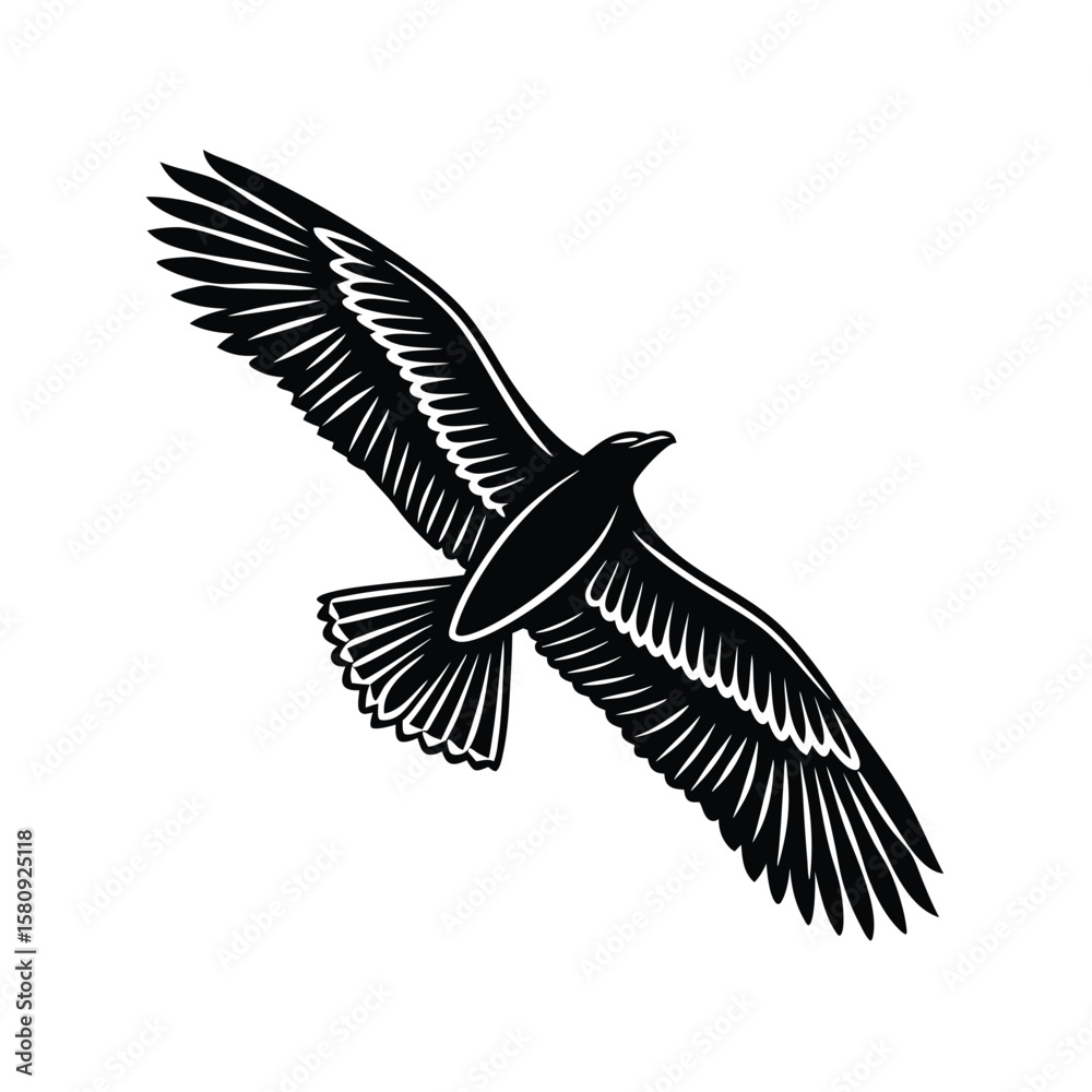 Obraz premium Black silhouette of a bird soaring flight wings