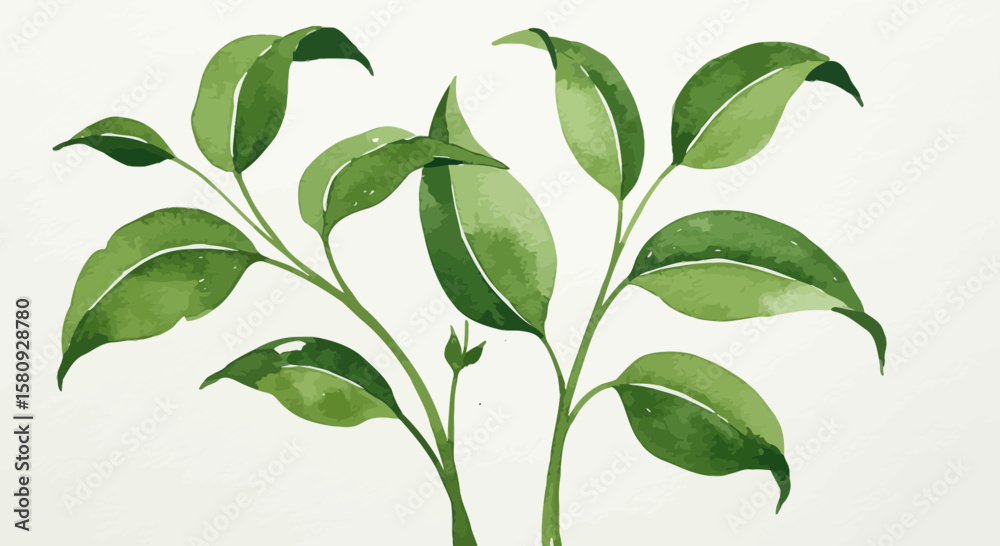 Fototapeta premium Elegant Watercolor Greenery Illustration with Fresh Foliage and Gentle Textures