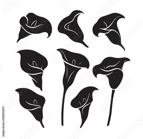 Elegant Calla Lily Silhouettes Collection flower floral