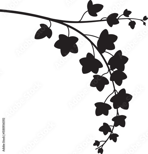 Delicate Vine Branch with Graceful Leaves, Perfect for Minimalist Botanical and Nature-Inspired Designs.