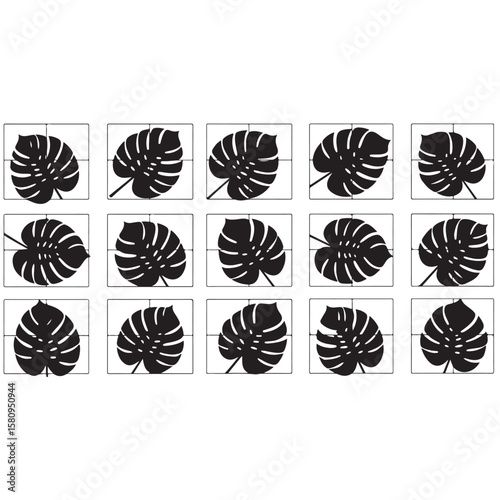 Monstera deliciosa leaves in black and white pattern