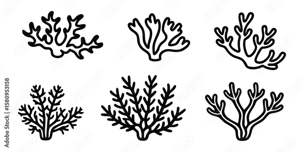 Fototapeta premium Vector Sea Coral Collection Hand Drawn Doodle Ocean Illustration design