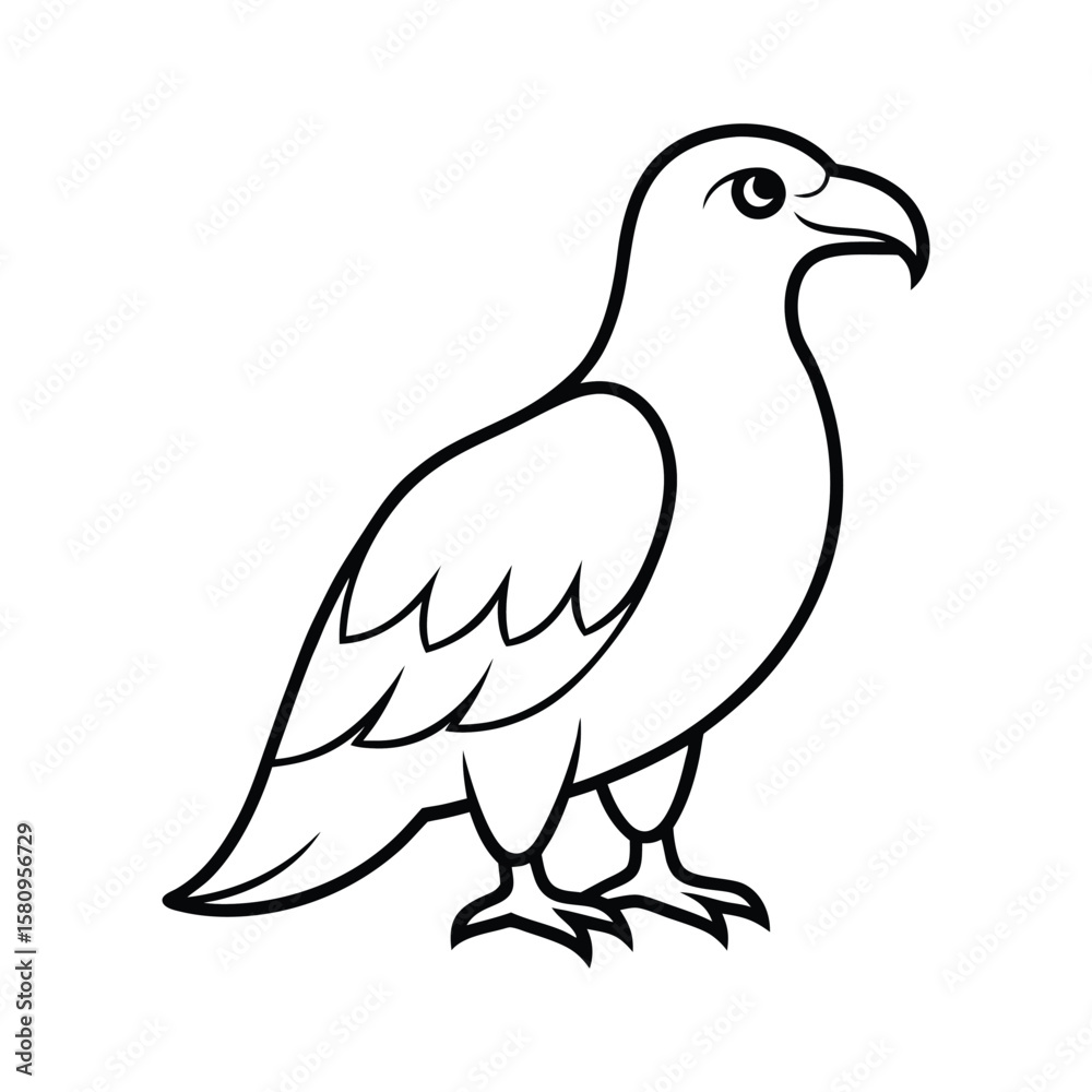 Fototapeta premium dove isolated on white