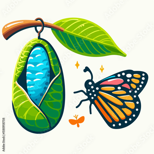 illustration of a cocoon and butterfly