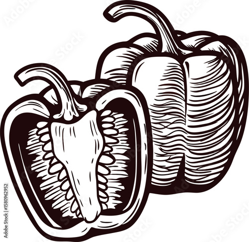 Vintage engraved illustration of bell peppers hand drawn whole and sliced sweet pepper isolated on white background