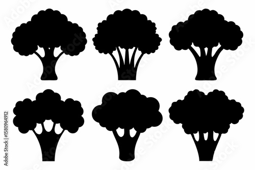 Black Silhouette Broccolini Icons - Vector Collection