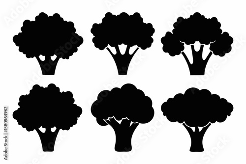 Black Silhouette Broccolini Icons - Vector Collection