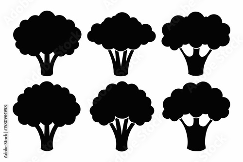 Black Silhouette Broccolini Icons - Vector Collection