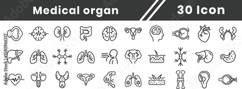 Set of medical organ icons including brain, heart, kidney, stomach, lungs, liver, intestine, nerve, and knee joint drawn in black outline style. Concept of anatomy, human health
