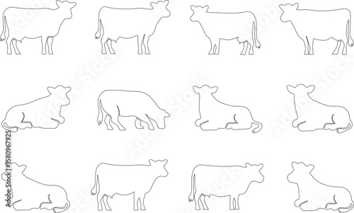 A Set of Cow  Outline on White Background 