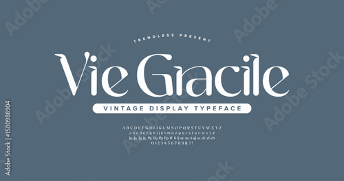 Vie Gracile: a delicate and elegant serif typeface. Featuring refined uppercase and lowercase letters, ideal for beauty packaging, wedding invitations, and luxury print design.