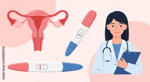 Female reproductive system, pregnancy test, and doctor, illustrating fertility and pregnancy.