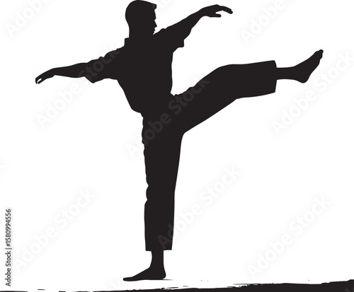 A martial artist kick extended to the side with the foot pushed out horizontally. full length silhouette black vector illustration