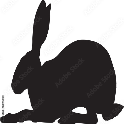 Silhouette of a hare resting with its ears up against a stark white background in a studio shot