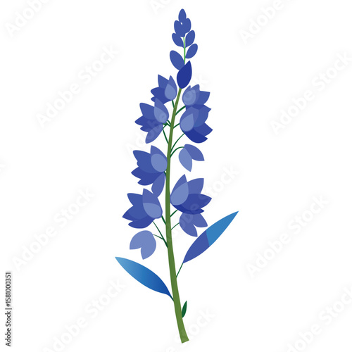 A delicate blue delphinium flower spike, on a clean white background, tall and elegant.
