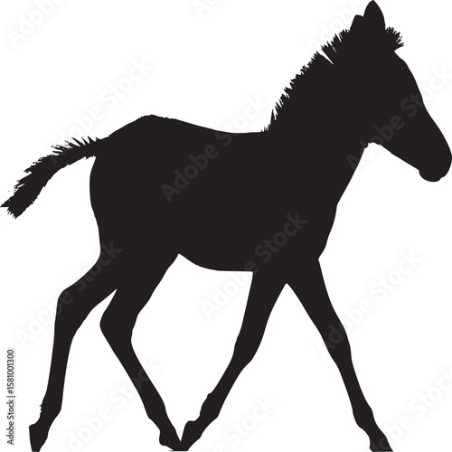 Horse foal silhouette running black and white equine animal young horse mammal farm animal equestrian art