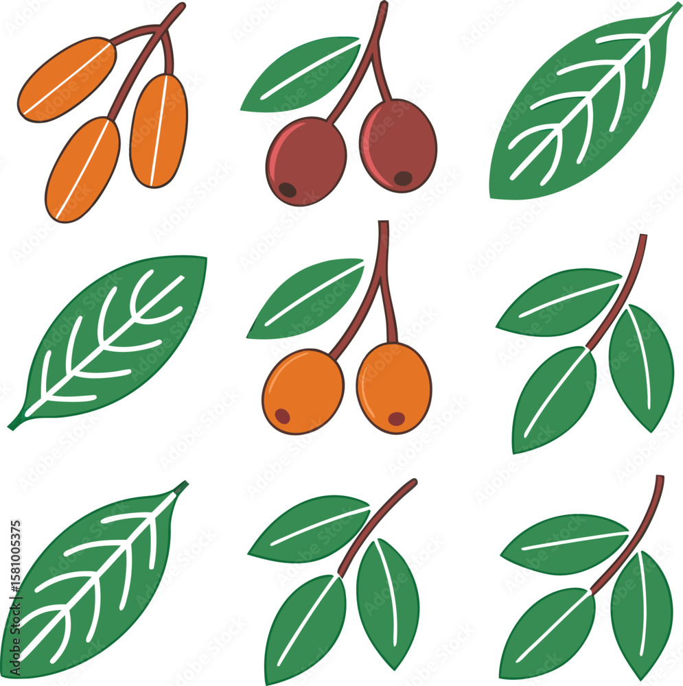 Obraz premium Adobe Illustrator Artwork