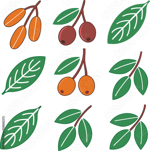 Adobe Illustrator Artwork