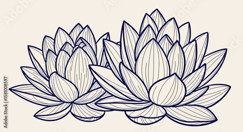 Elegant Lotus Flowers Detailed Line Art Illustration of Two Blooming Water Lilies for Serene and Artistic Designs.