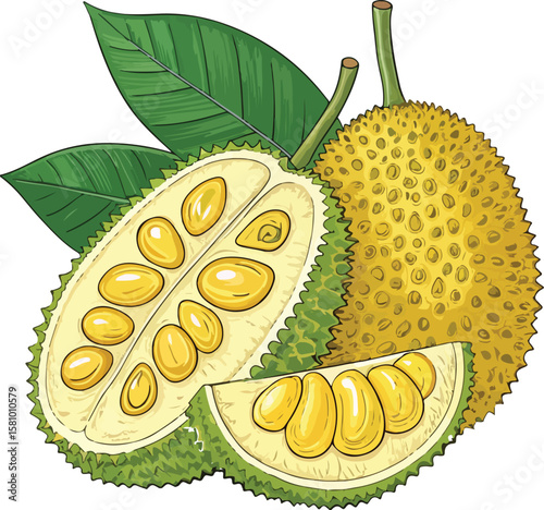 vector illustration of an apple
